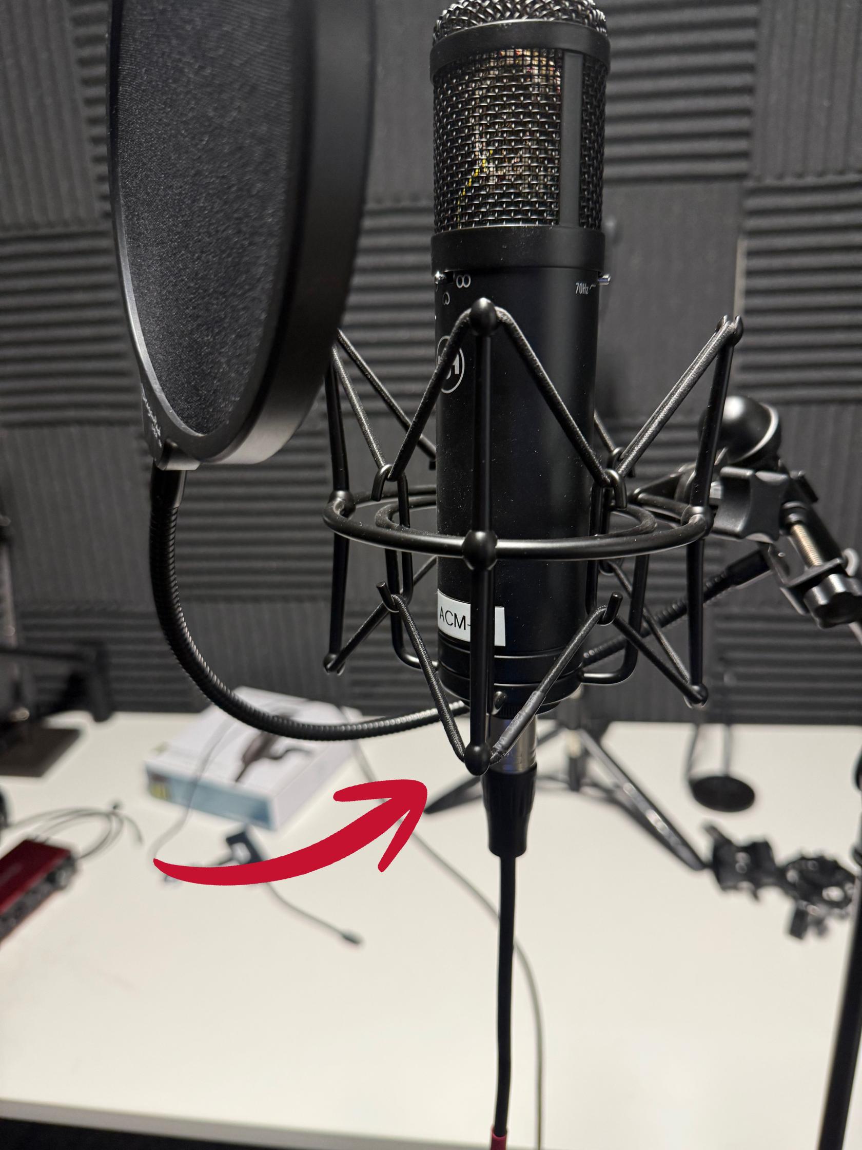 Mic and Pop stand.jpg